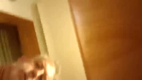 moos1 online show from March 8, 2026, 9:40 pm