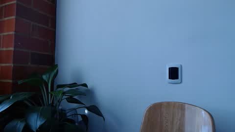 Abelardo online show from March 20, 2026, 6:13 pm