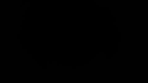 morgan online show from February 11, 2025, 7:38 pm