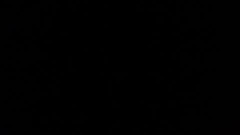 Snapshot of mospeleu chatting on March 1, 2025, 5:49 pm Nomadu online show from March 1, 2025, 5:49 pm