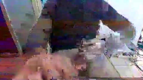 mppempis81 online show from November 15, 2025, 7:27 am