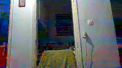 mppempis81 online show from November 19, 2025, 3:45 pm