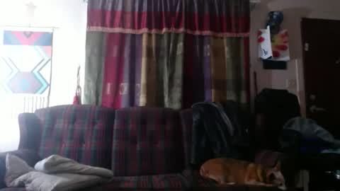 Snapshot of mr_happy12 chatting on November 7, 2025, 11:49 pm mr_happy12 online show from November 7, 2025, 11:49 pm