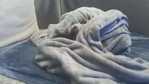 Snapshot of mranal93 chatting on February 15, 2025, 5:28 pm mranal93 online show from February 15, 2025, 5:28 pm