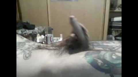 Snapshot of mrfumao chatting on June 8, 2026, 6:14 am mrfumao online show from June 8, 2026, 6:14 am