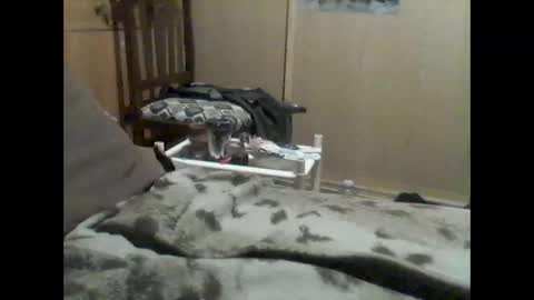 Snapshot of mrfumao chatting on June 9, 2026, 12:33 am mrfumao online show from June 9, 2026, 12:33 am