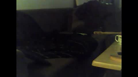 Nikola online show from January 12, 2025, 12:01 pm