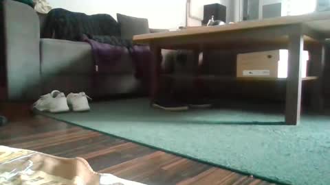 Nikola online show from February 27, 2025, 11:52 am