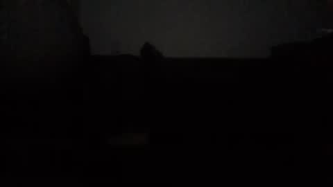 Nikola online show from October 15, 2025, 12:44 am