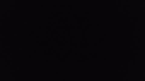 mrj1979 online show from December 6, 2024, 1:22 pm