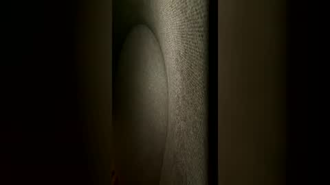 Snapshot of mrmaxxxxi chatting on June 22, 2026, 7:05 am mrmaxxxxi online show from June 22, 2026, 7:05 am