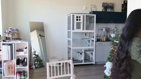 R o r i  SnapChat heyroriv2 wednesday - sunday Noon oclock mountain - 5pm mountain online show from October 25, 2025, 6:35 pm