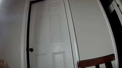 missqueenbbw online show from December 2, 2024, 3:37 am