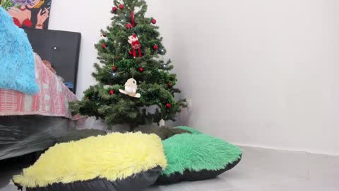 Snapshot of msschloee chatting on December 11, 2024, 8:07 pm Chloe new account online show from December 11, 2024, 8:07 pm