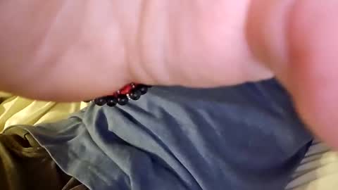 mtnclimber1 online show from November 19, 2025, 10:54 pm