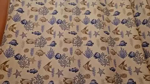 Muffdiver online show from March 26, 2026, 7:41 pm