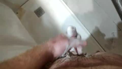 Snapshot of mugglesmuggler chatting on March 20, 2026, 10:42 am mugglesmuggler online show from March 20, 2026, 10:42 am