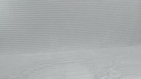 Snapshot of murrrmuah chatting on October 8, 2025, 7:55 pm murrrmuah online show from October 8, 2025, 7:55 pm