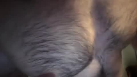 musclehair3 online show from February 10, 2025, 7:17 pm