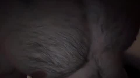 musclehair3 online show from February 14, 2025, 9:53 pm