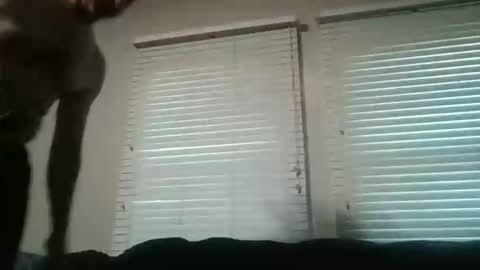 vienna online show from November 16, 2025, 10:26 pm