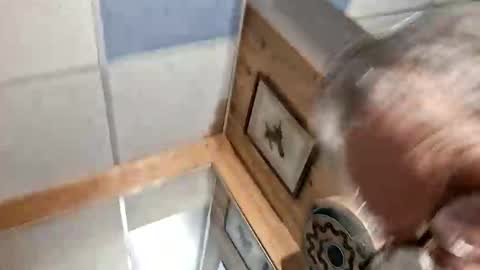 mymyselfandme online show from November 3, 2025, 6:03 am