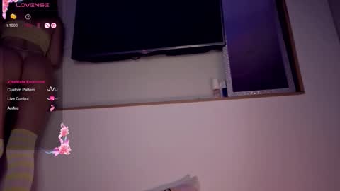 mynameisnikki_ online show from November 20, 2025, 6:24 am