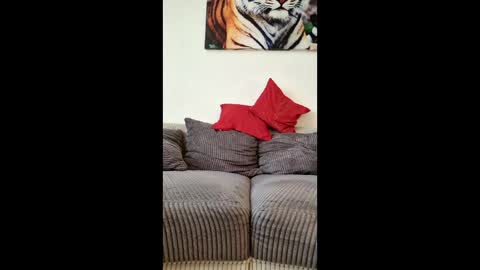 Snapshot of myrostus chatting on March 4, 2026, 2:45 pm myrostus online show from March 4, 2026, 2:45 pm