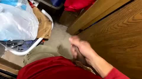 nairda2senoniuq online show from December 5, 2024, 4:09 am