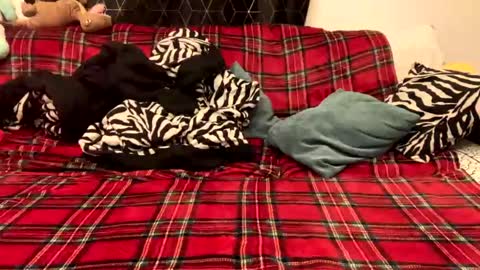 unable nkd life online show from December 15, 2024, 5:31 pm