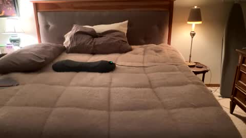 Masturbating boys need to be spanked. online show from April 12, 2026, 2:16 am