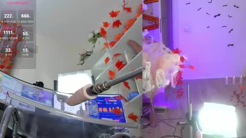 Snapshot of nancy_winter chatting on November 6, 2025, 12:28 pm INSTAGRAM bekkercat online show from November 6, 2025, 12:28 pm