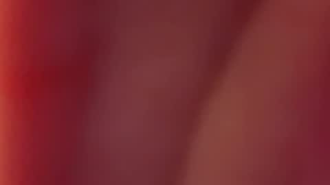 Snapshot of nancy_witch chatting on December 12, 2024, 7:52 am Nancy and Archi online show from December 12, 2024, 7:52 am