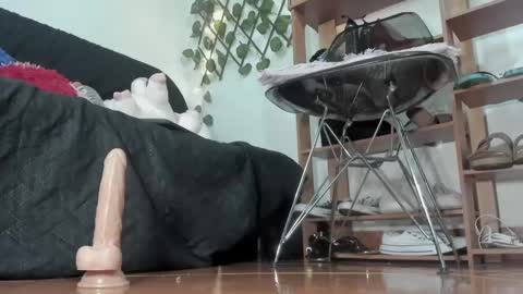 Nasha online show from January 11, 2025, 12:22 am