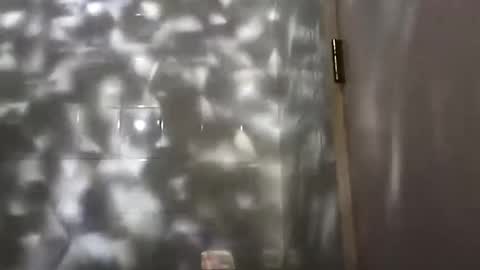 Snapshot of nastysubs69 chatting on December 25, 2024, 12:27 am nastysubs69 online show from December 25, 2024, 12:27 am