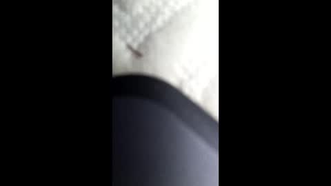 Snapshot of nastysubs69 chatting on January 12, 2025, 4:21 am nastysubs69 online show from January 12, 2025, 4:21 am