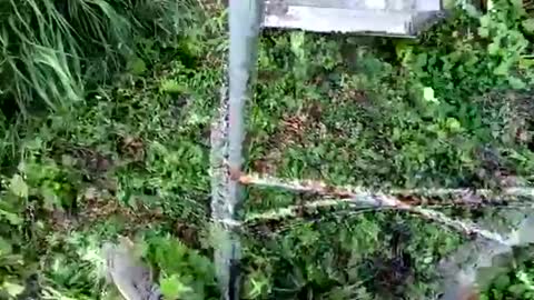 nata1974 online show from October 18, 2025, 3:35 pm