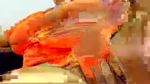 natasha_klaus1 online show from October 23, 2025, 2:44 am