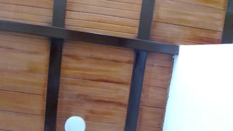 nath_dawson online show from November 15, 2025, 7:21 pm