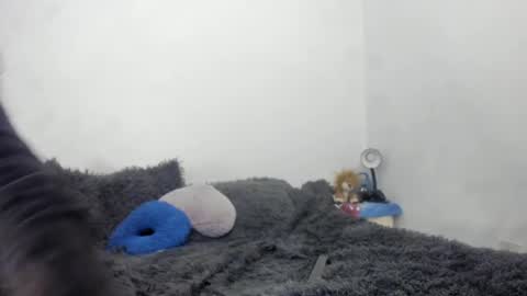 Nathaly online show from September 15, 2025, 6:19 pm