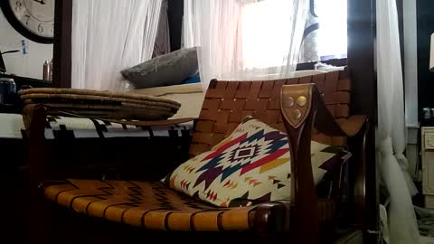 Snapshot of nativeboi22 chatting on March 8, 2025, 2:40 pm Haven online show from March 8, 2025, 2:40 pm