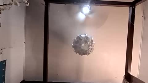 Haven online show from March 26, 2026, 4:56 pm