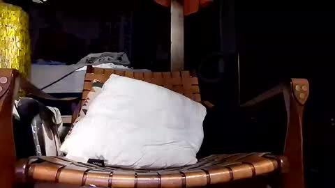 Haven online show from April 20, 2026, 9:23 am