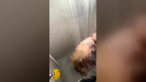 Joyci Lima online show from March 23, 2026, 1:48 pm