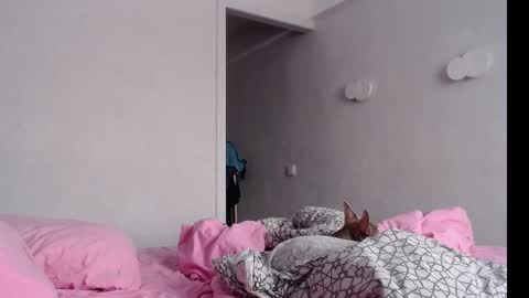 Snapshot of naughty_christie chatting on February 4, 2025, 4:05 am Chris Carrie online show from February 4, 2025, 4:05 am