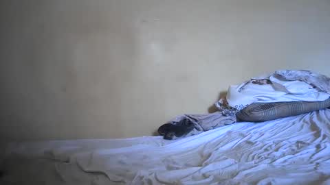 Jessy online show from December 16, 2025, 10:09 am