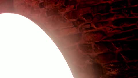 NEBULA  online show from December 21, 2025, 1:51 pm