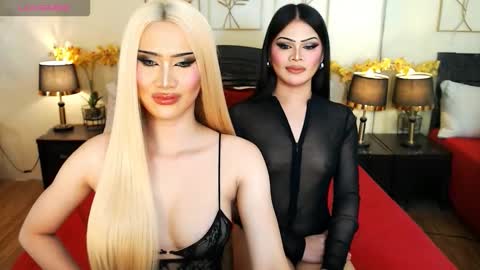 F R A N Z I A online show from March 21, 2026, 8:41 am