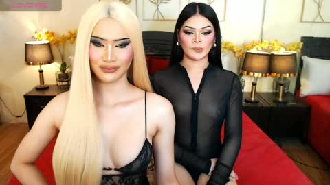 F R A N Z I A online show from March 27, 2026, 8:26 am