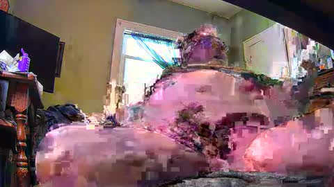 Snapshot of ndcowpoke chatting on February 8, 2025, 9:46 pm ND Cowpoke online show from February 8, 2025, 9:46 pm